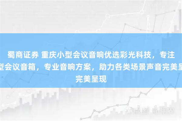 蜀商证券 重庆小型会议音响优选彩光科技,专注小型会议音箱,专业音响方案,助力各类场景声音完美呈现