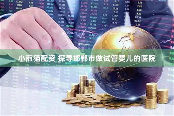 小煎猫配资 探寻邯郸市做试管婴儿的医院
